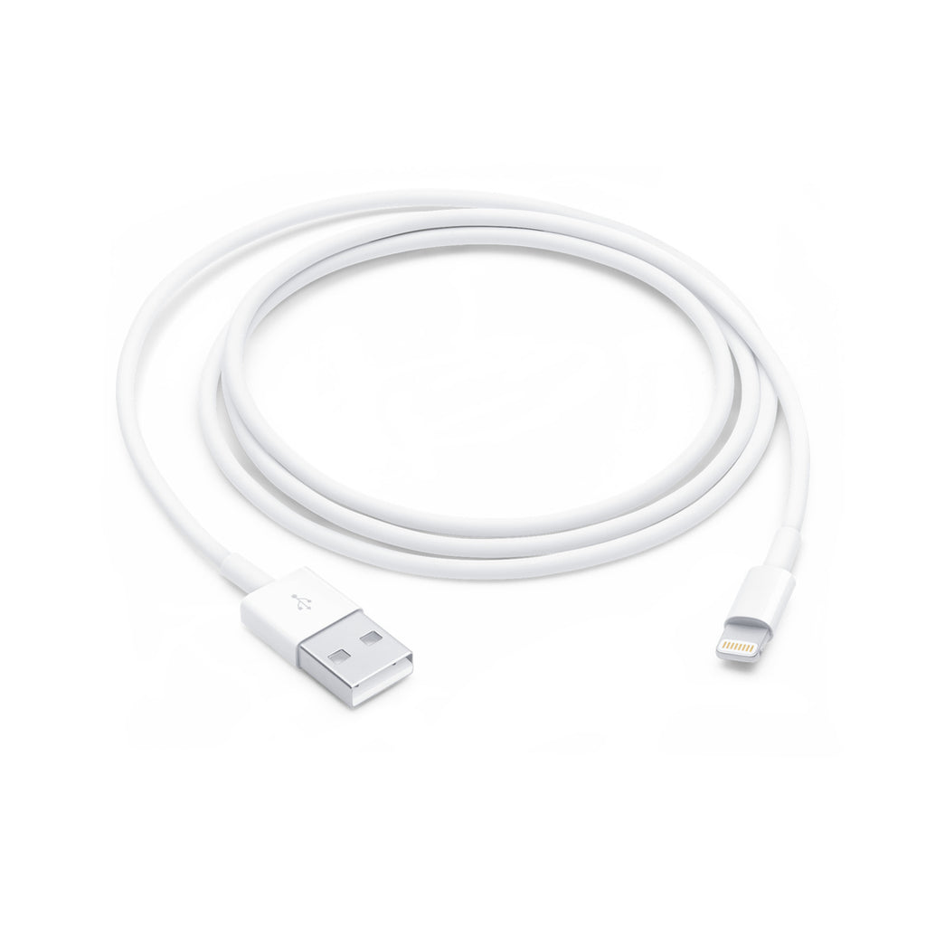 Apple Lightning to USB Cable (1 m)
